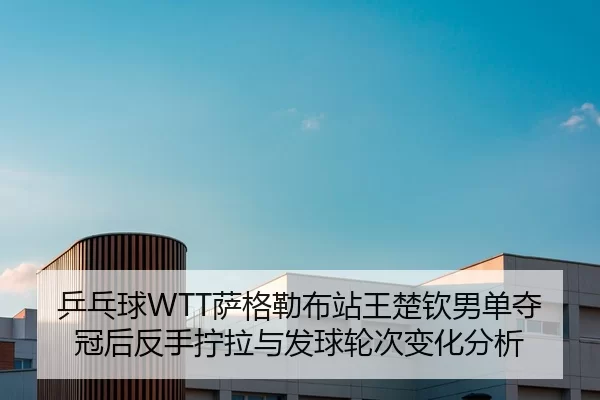 乒乓球WTT萨格勒布站王楚钦男单夺冠后反手拧拉与发球轮次变化分析